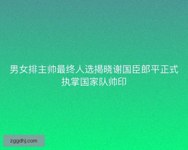 男女排主帅最终人选揭晓谢国臣郎平正式执掌国家队帅印