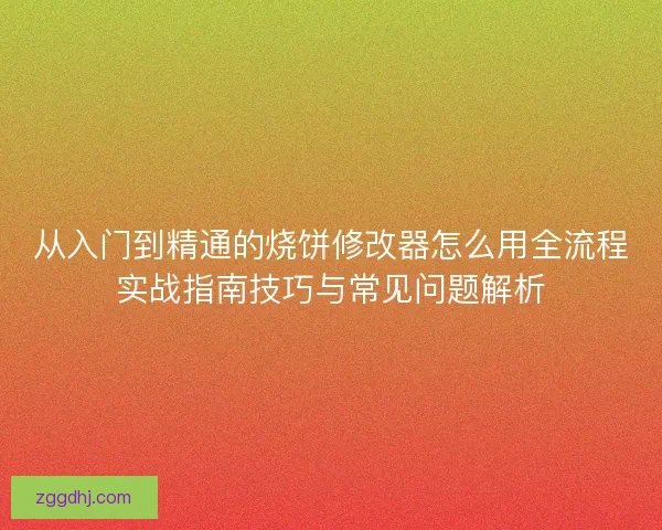 从入门到精通的烧饼修改器怎么用全流程实战指南技巧与常见问题解析