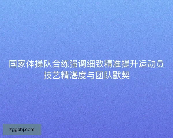 国家体操队合练强调细致精准提升运动员技艺精湛度与团队默契