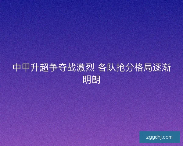 中甲升超争夺战激烈 各队抢分格局逐渐明朗