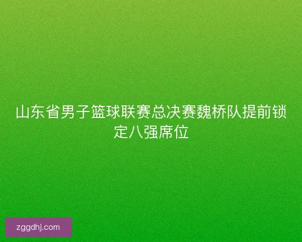 山东省男子篮球联赛总决赛魏桥队提前锁定八强席位 山东省男子篮球联赛总决赛魏桥队提前锁定八强席位